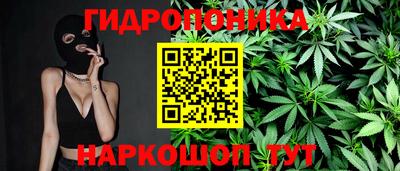 дурь Тара