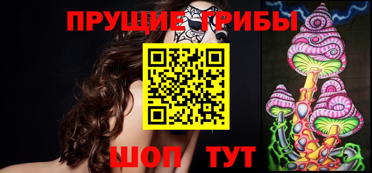 Кулебаки  Галлюциногенные грибы прущие грибы  Вход с VPN 